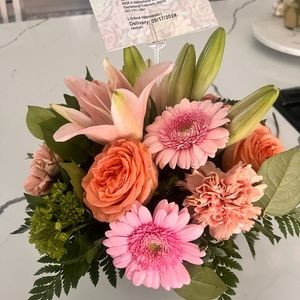 Meet your Posher, Barbara